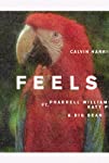 Calvin Harris Feat. Pharrell Williams, Katy Perry, Big Sean: Feels