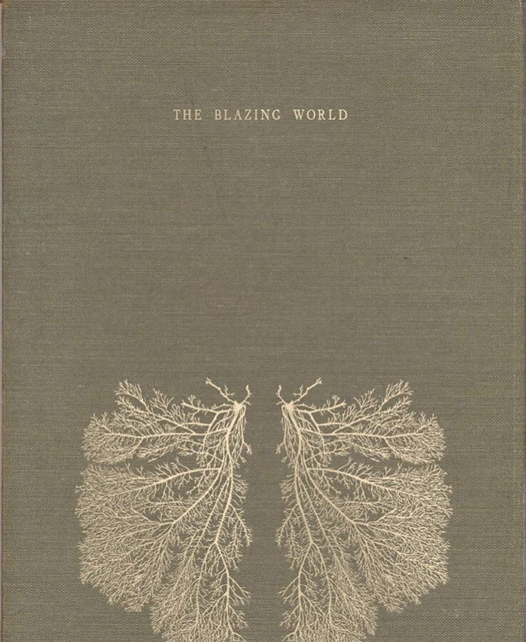 The Blazing World