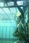 Shark Night Cast: Shark Bite