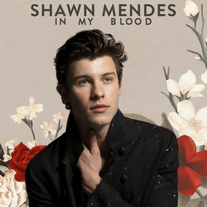 Shawn Mendes: In My Blood