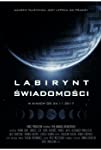 Labirynt swiadomosci