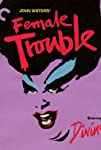 Crime and Beauty: Remembering Female Trouble