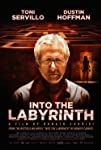 Into the Labyrinth