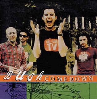 Bush: Comedown