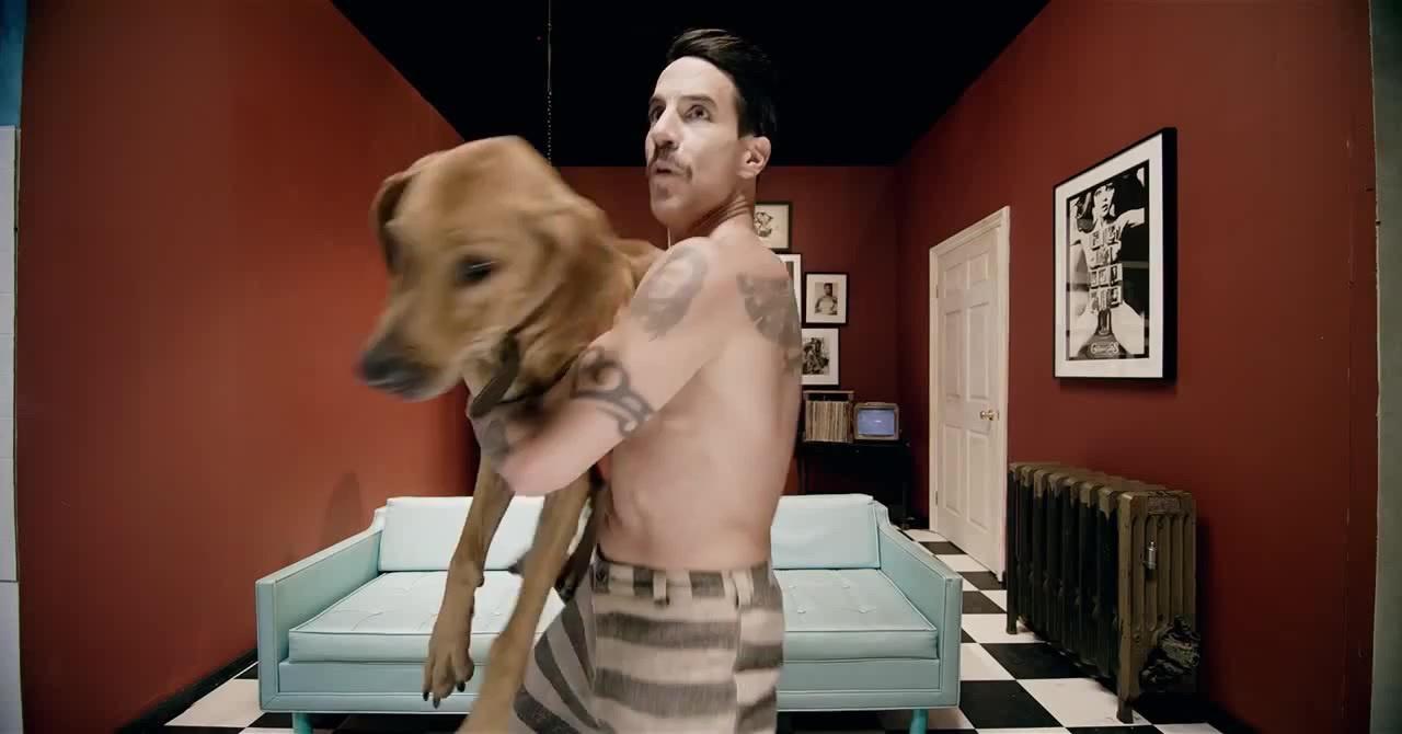 Red Hot Chili Peppers: Look Around