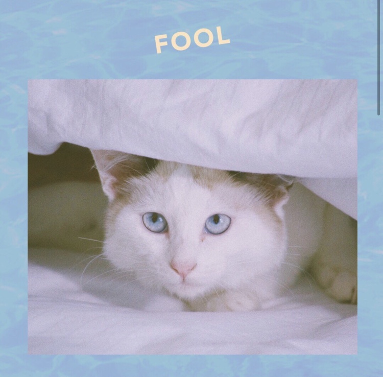 Alyson Stoner: Fool