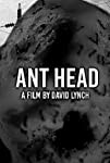 Ant Head