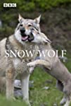 The Snow Wolf: A Winter's Tale